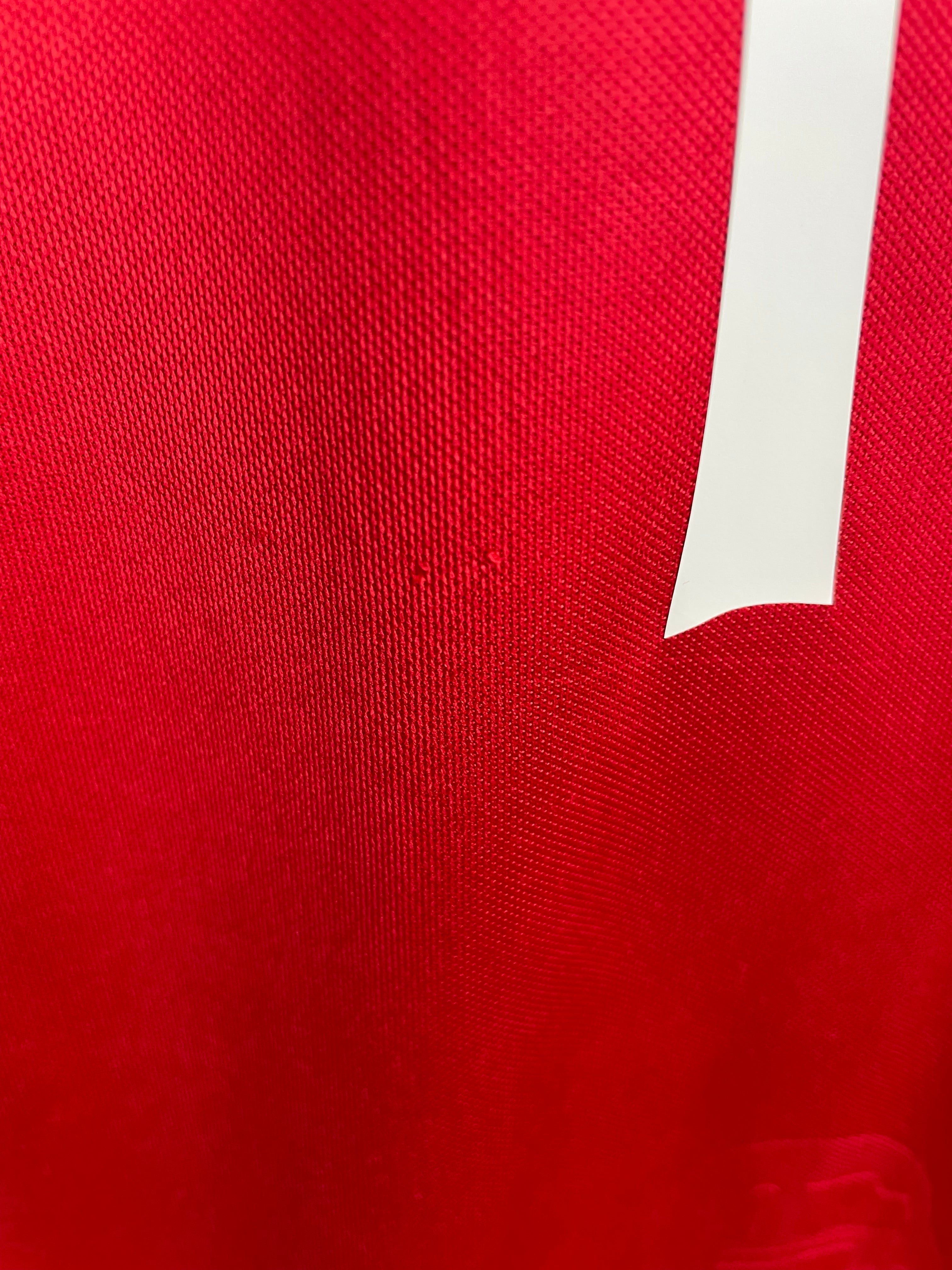 Nicklas Bendtner Danmark 16/17 hjemmebanetrøje - L