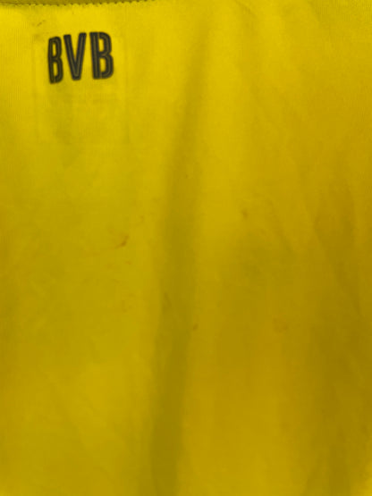 Dortmund 16/17 hjemme - 13/14 år